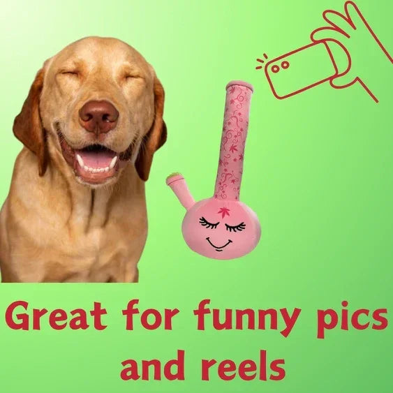 Smiling dog next to a pink smiley face glass bong on a green background with text, funny photo concept