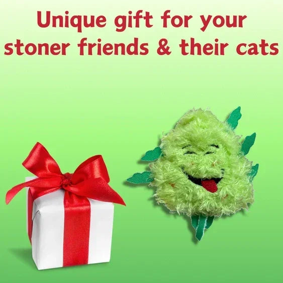 Fuzzy green cat toy shaped like a cannabis bud next to a white gift box with red ribbon on green background.