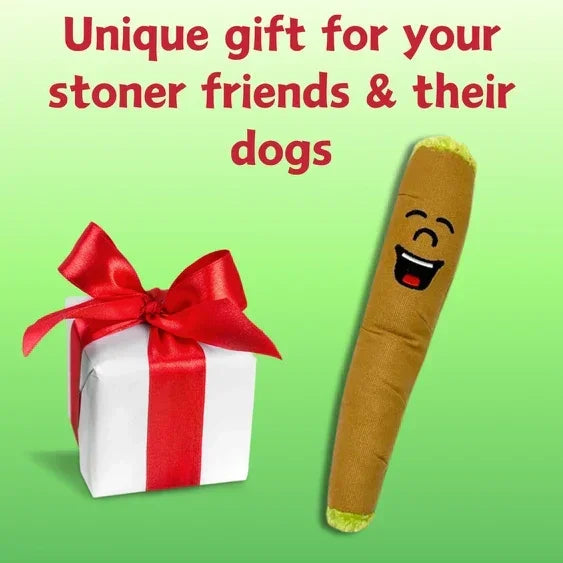 Funny dog toy shaped like a joint and a gift box with red bow on green background