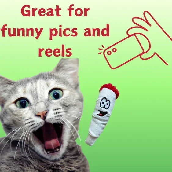 Surprised gray cat with funny plush toy on green background, text says great for funny pics and reels