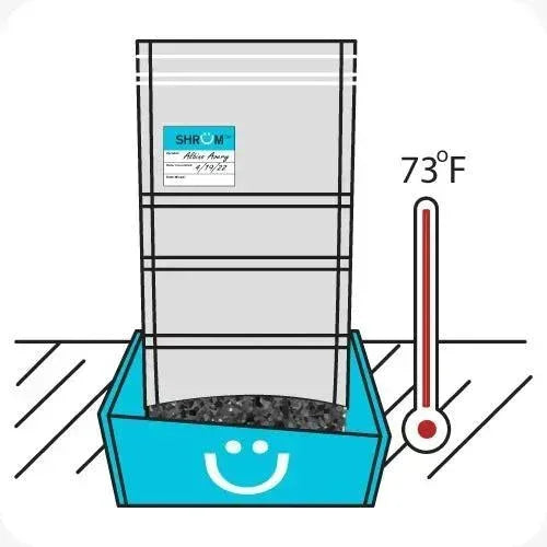 Sealed bag with soil in a blue tray next to a thermometer reading 73°F