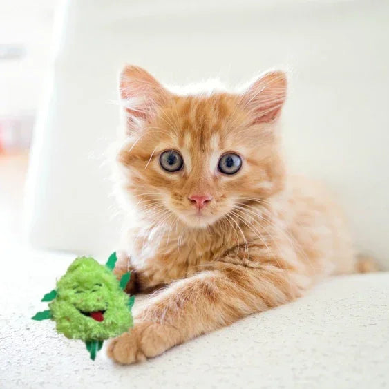Cute orange kitten lounging on a white sofa holding a green plush toy