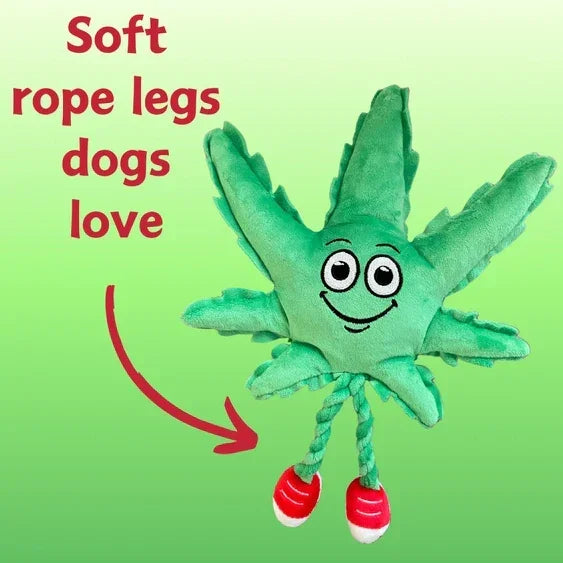 Plush dog toy shaped like a green leaf with smiling face and rope legs on a green background.