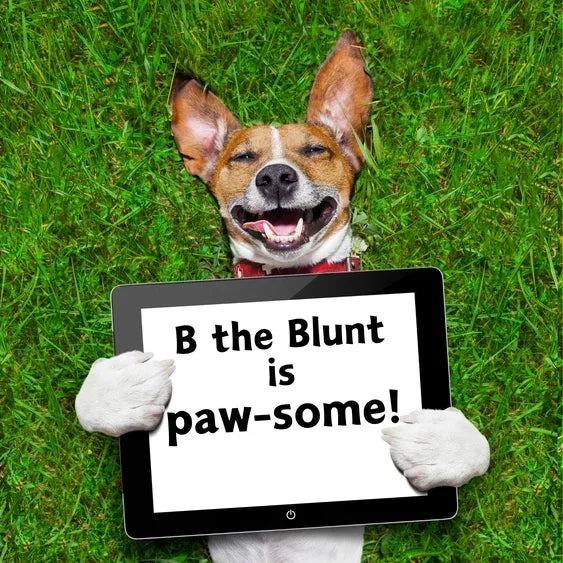 Smiling dog on grass holding tablet sign that says 'B the Blunt is paw-some!'