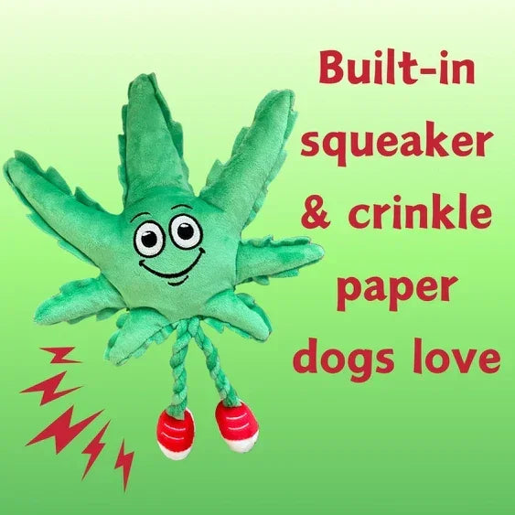 Green plush leaf dog toy with smiling face, rope legs, red shoes, squeaker and crinkle sounds.