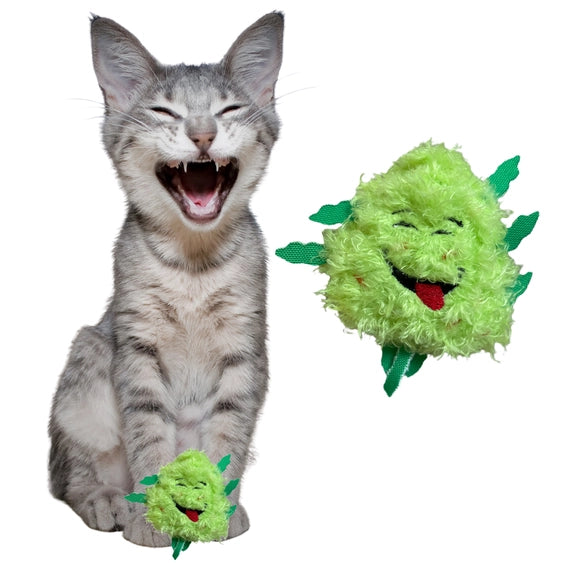 Paw:20 - Bud Jr The Nug Cat Toy