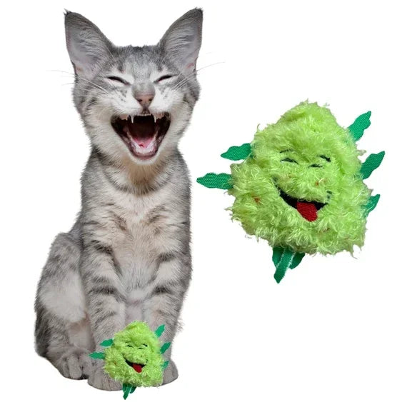 Gray tabby cat with mouth open and green plush toy shaped like a leafy bud