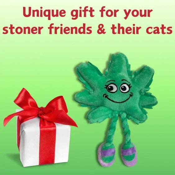 Plush leaf cat toy with smiling face beside a white gift box and red bow on green background
