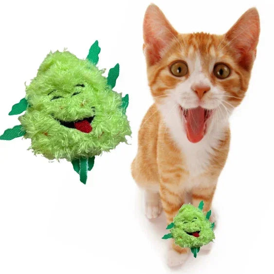 Orange kitten playing with a smiling green plush catnip toy on white background.