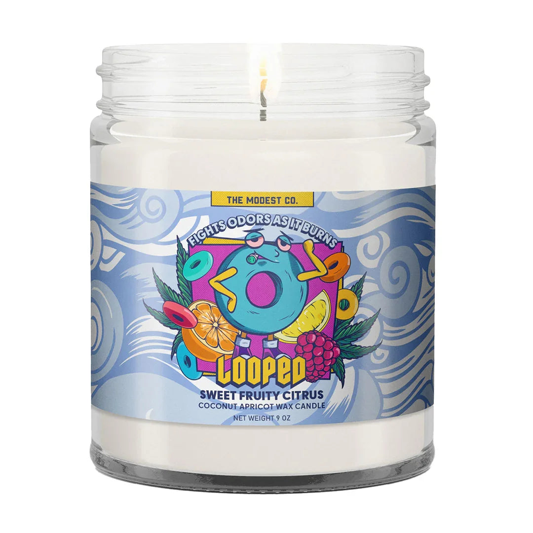 Modest & Co. - Odor Fighting Candles