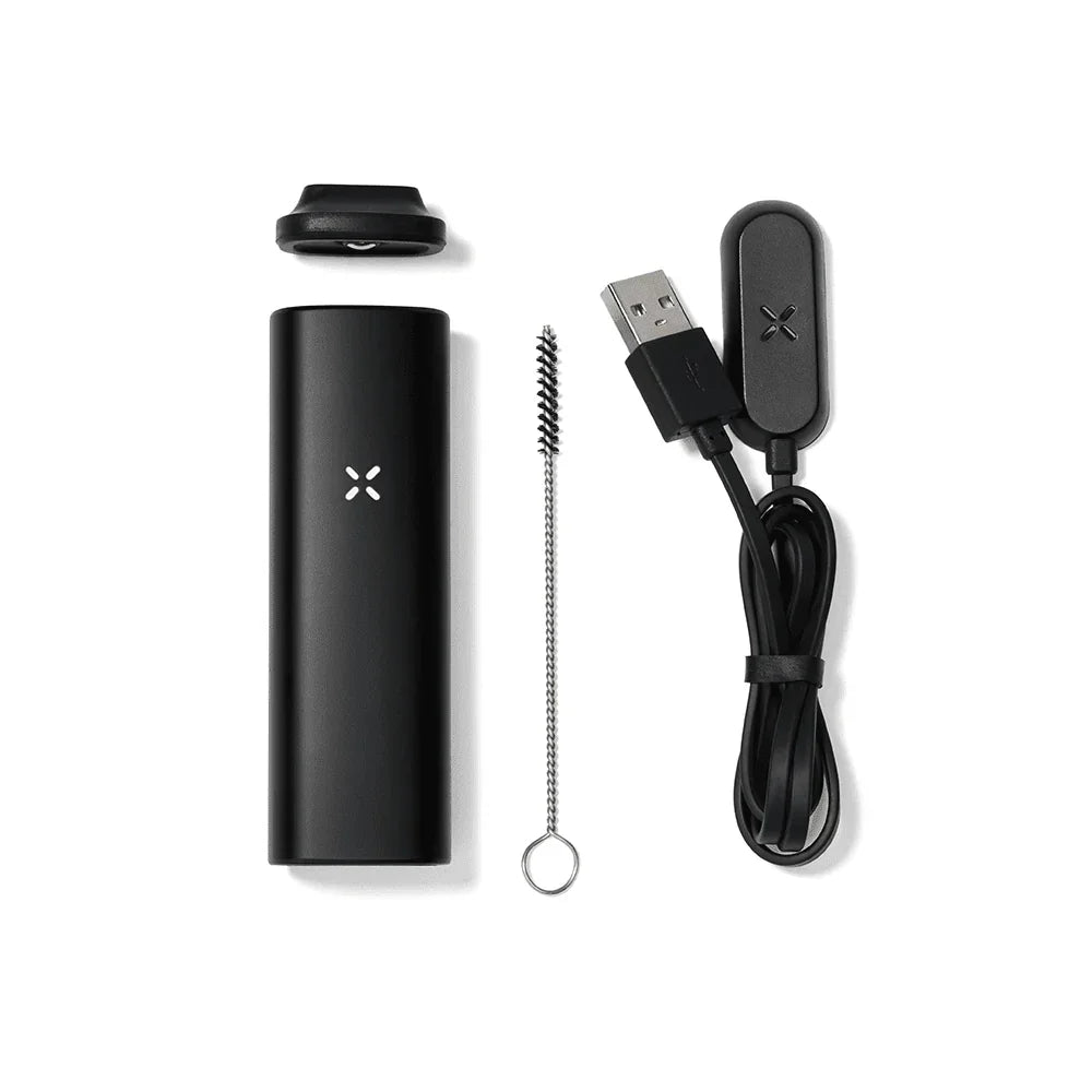 Black portable vaporizer kit with mouthpiece, USB charger, and cleaning brush