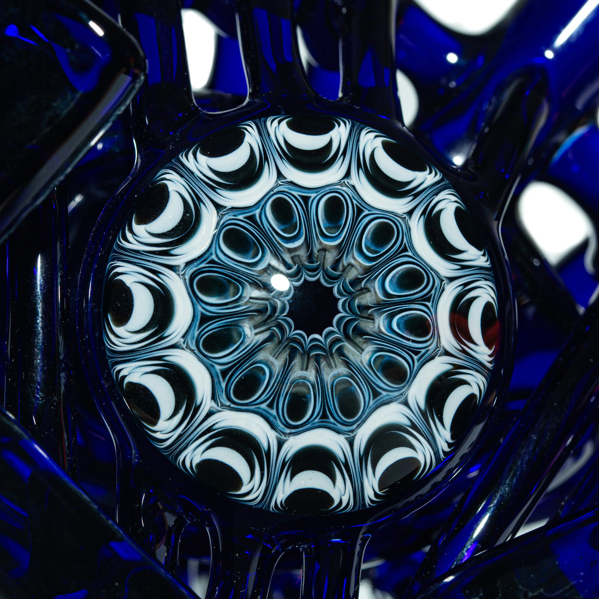 Akio x Yoshinori Kondo - Cobalt Chameleon