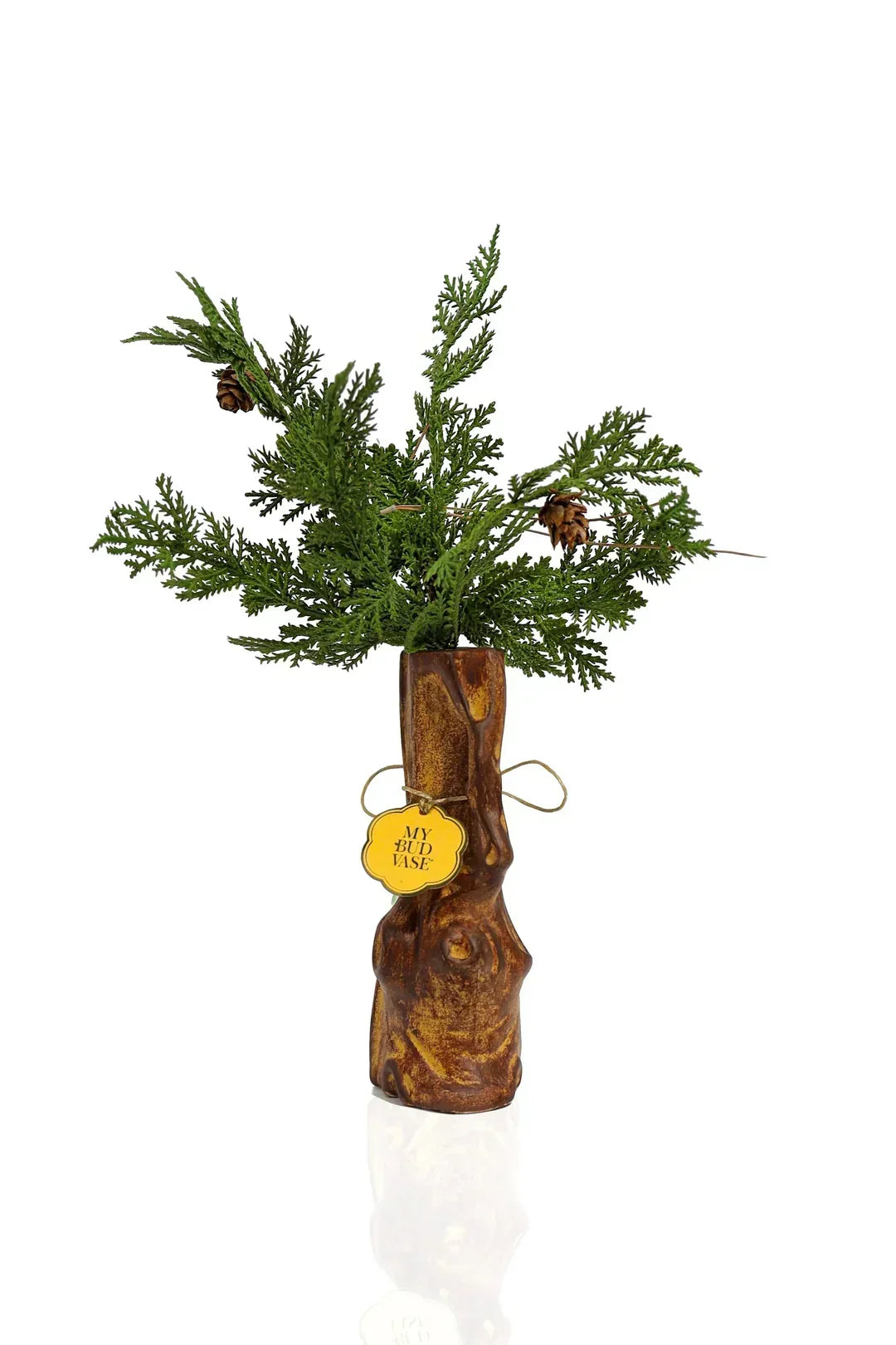 Rustic wood-look vase labeled 'My Bud Vase' with green foliage and pinecones