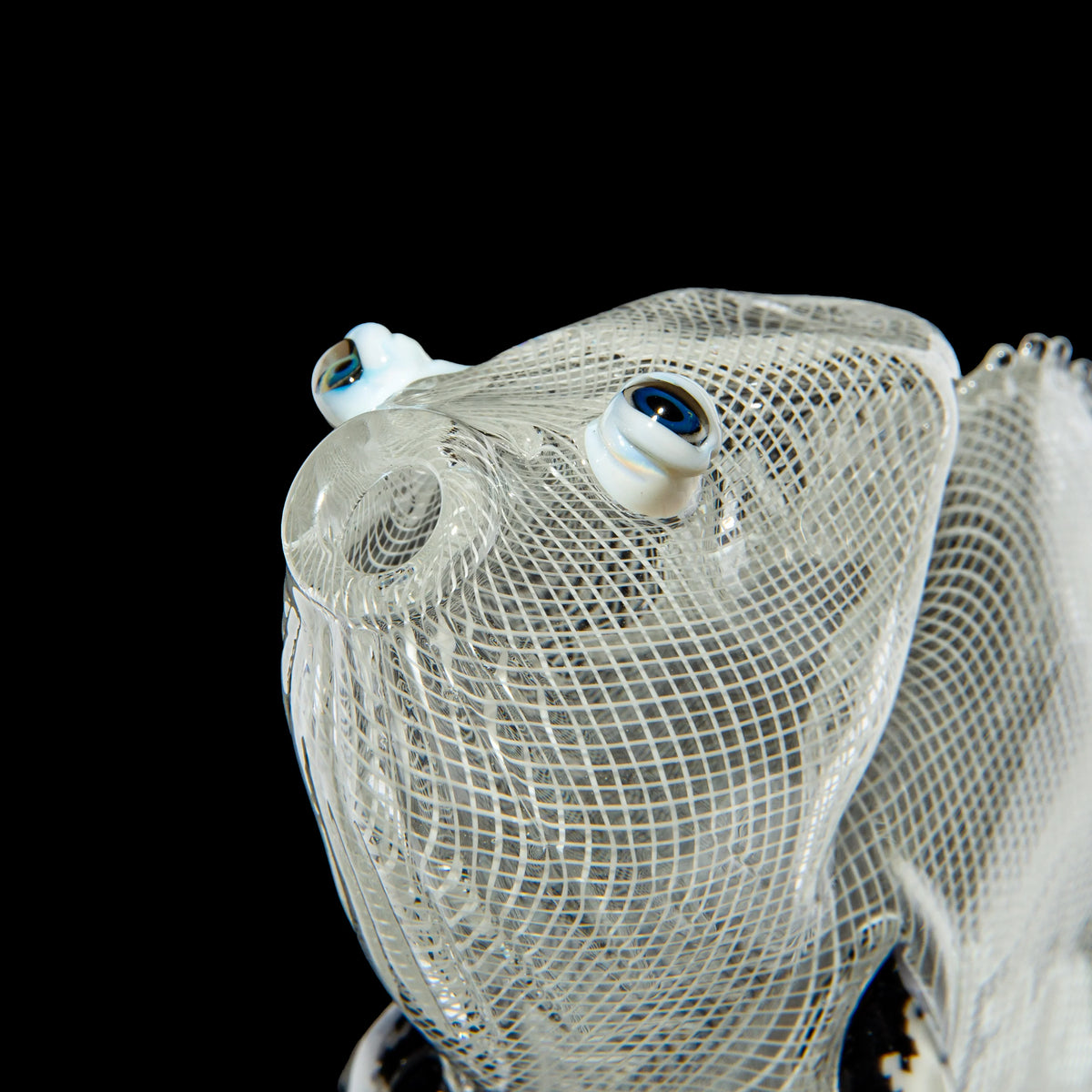 Crunklestein x Blue Soldier - White Reticello Chameleon