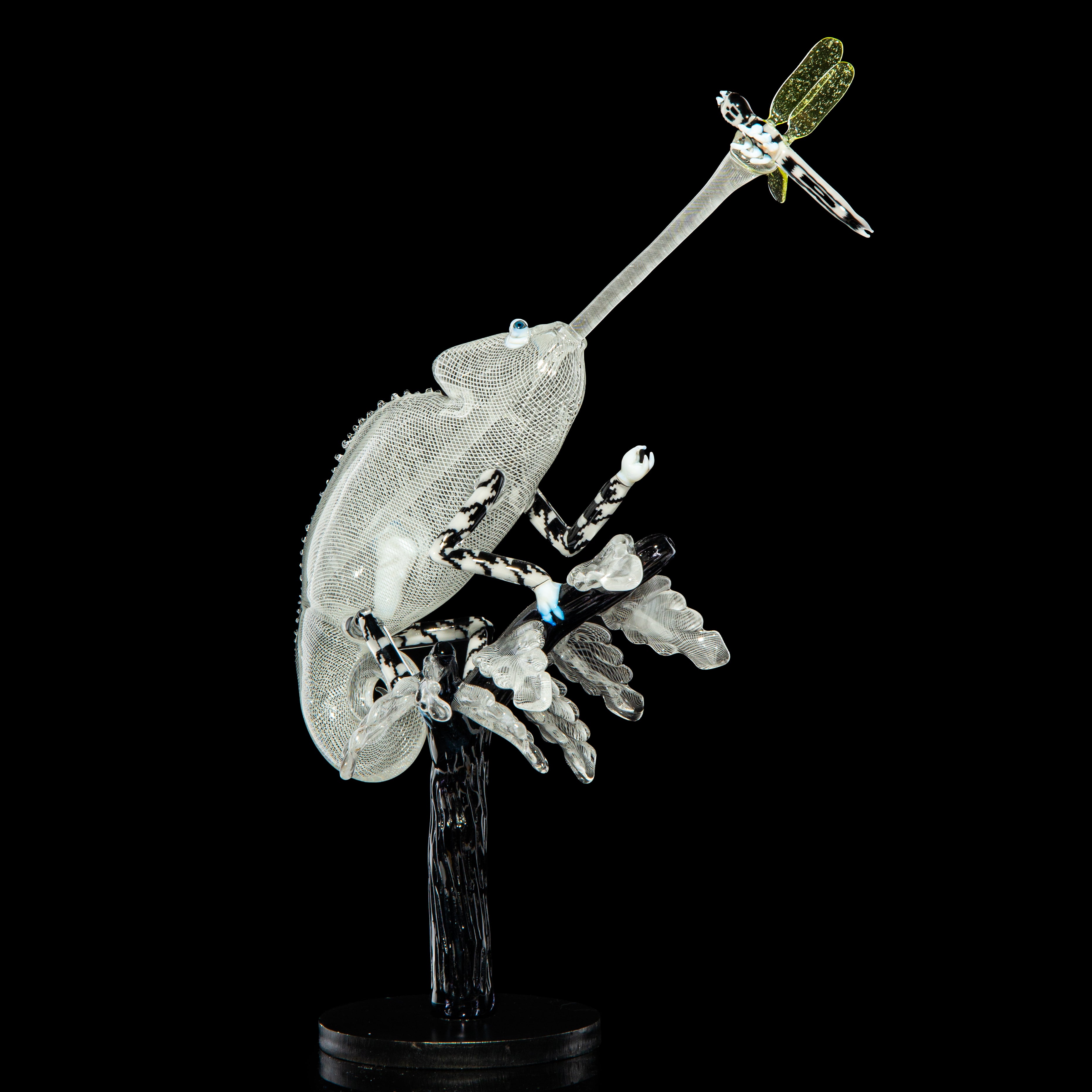 Crunklestein x Blue Soldier - White Reticello Chameleon