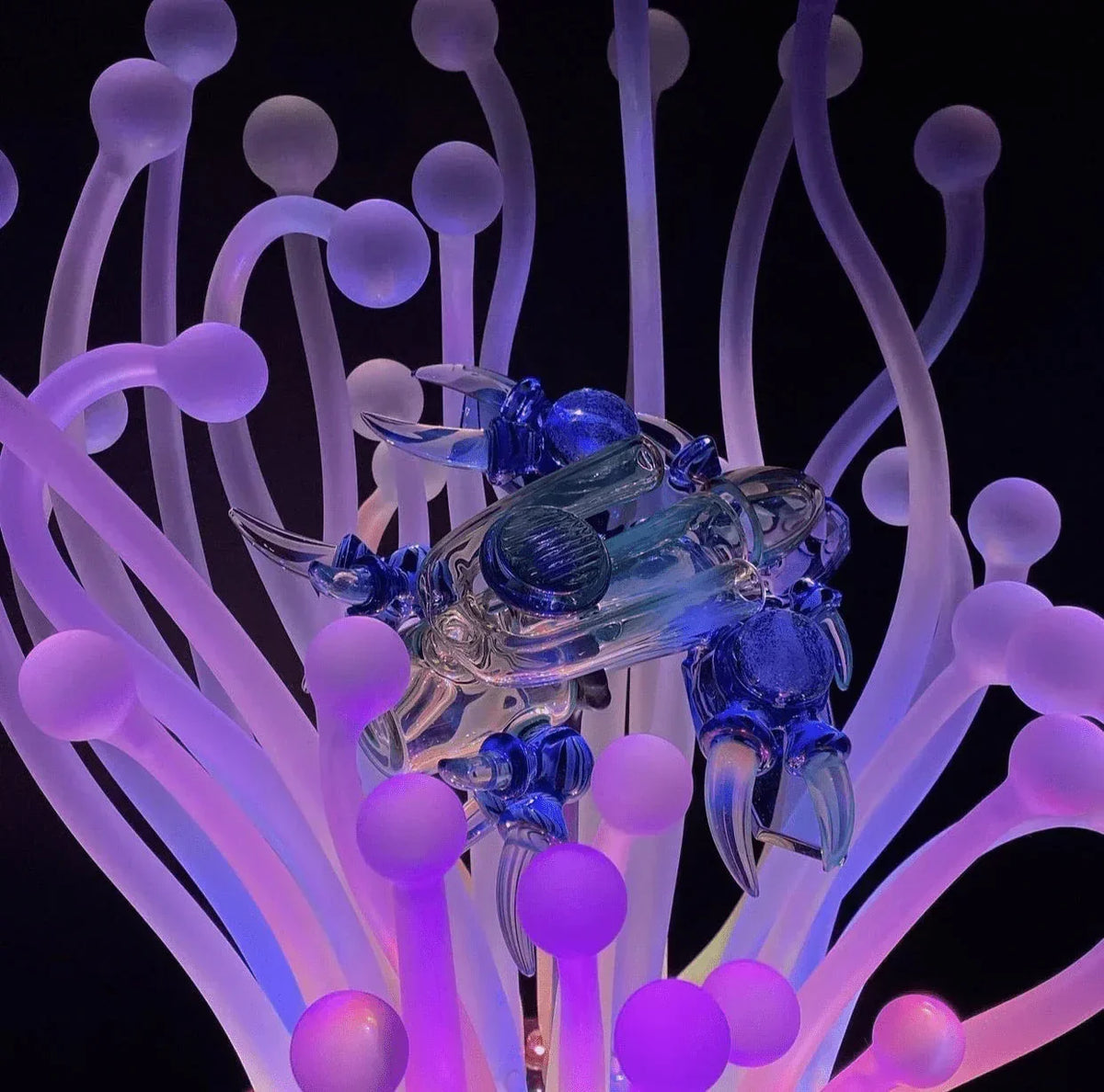 Blue glass crab sculpture on glowing purple glass anemone, artistic heady glass piece