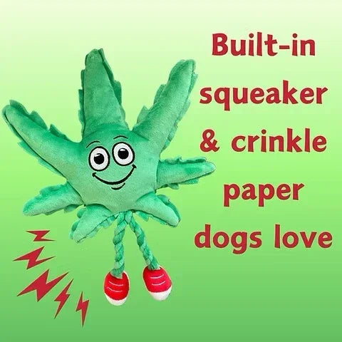 Plush green leaf dog toy with smiley face, rope limbs, squeaker, and crinkle paper features.