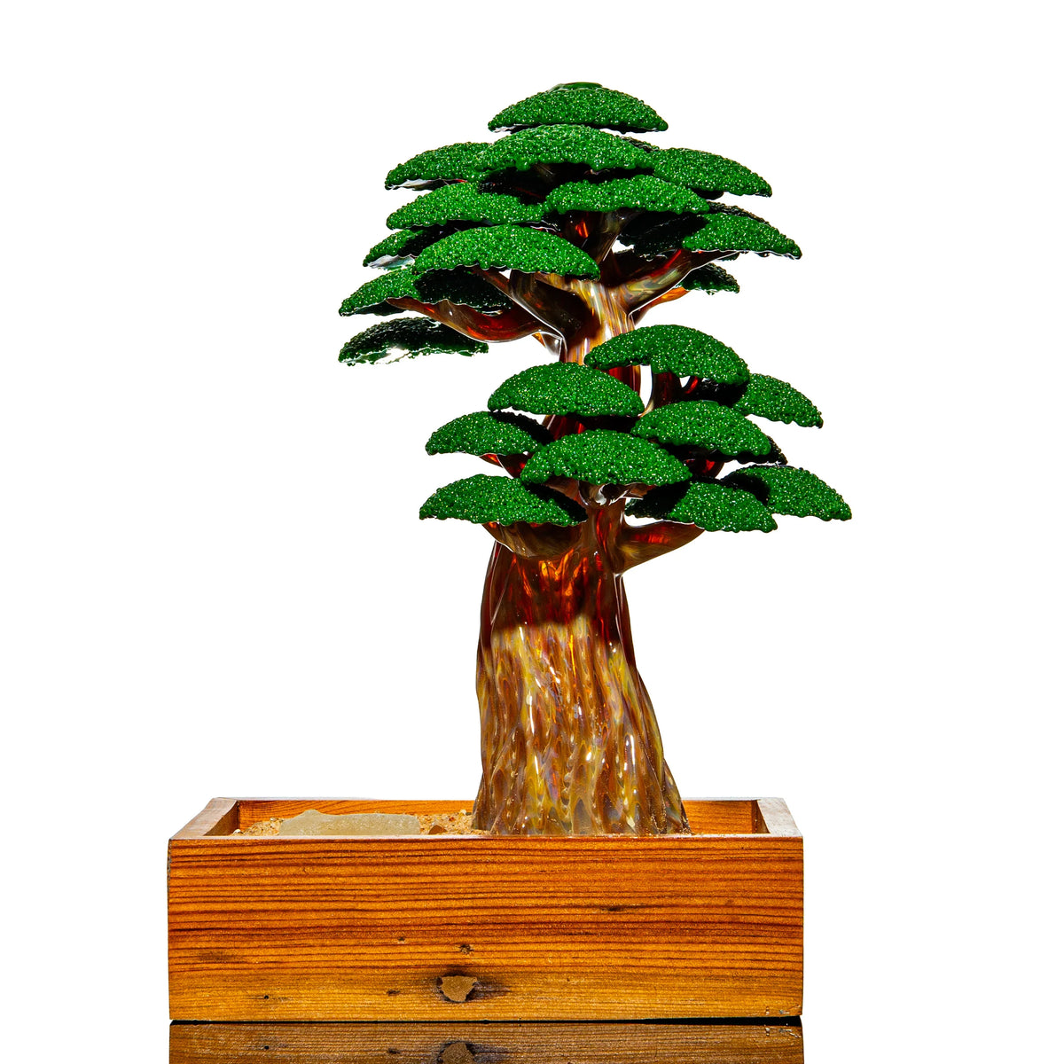 Bubbles The Butcher - Bonsai Tree #51