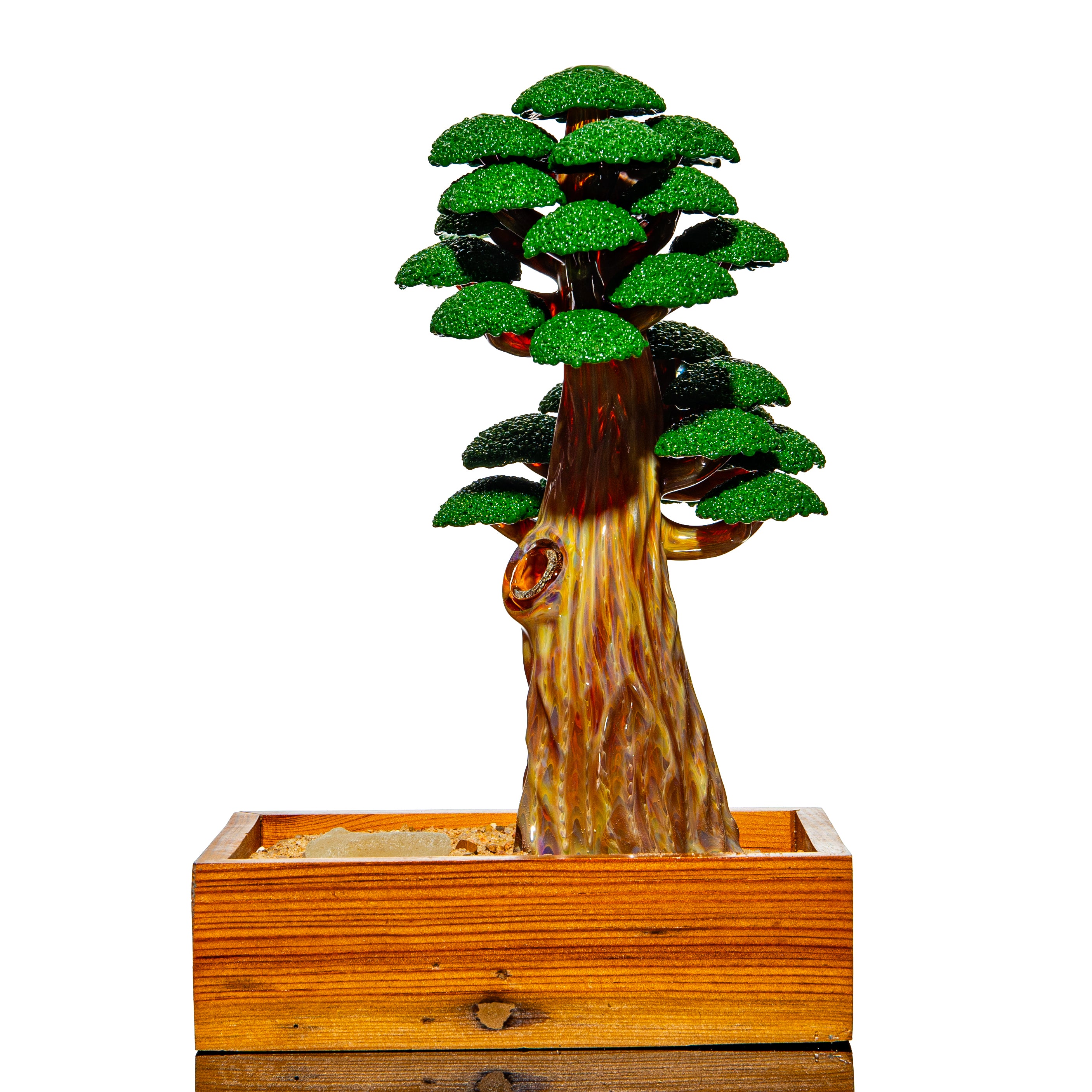 Bubbles The Butcher - Bonsai Tree #51