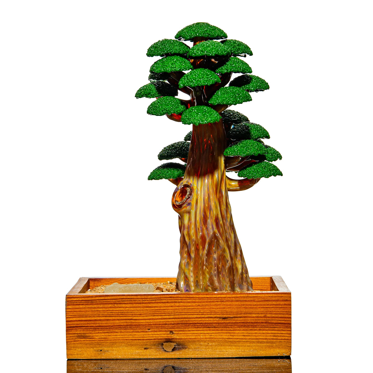 Bubbles The Butcher - Bonsai Tree #51