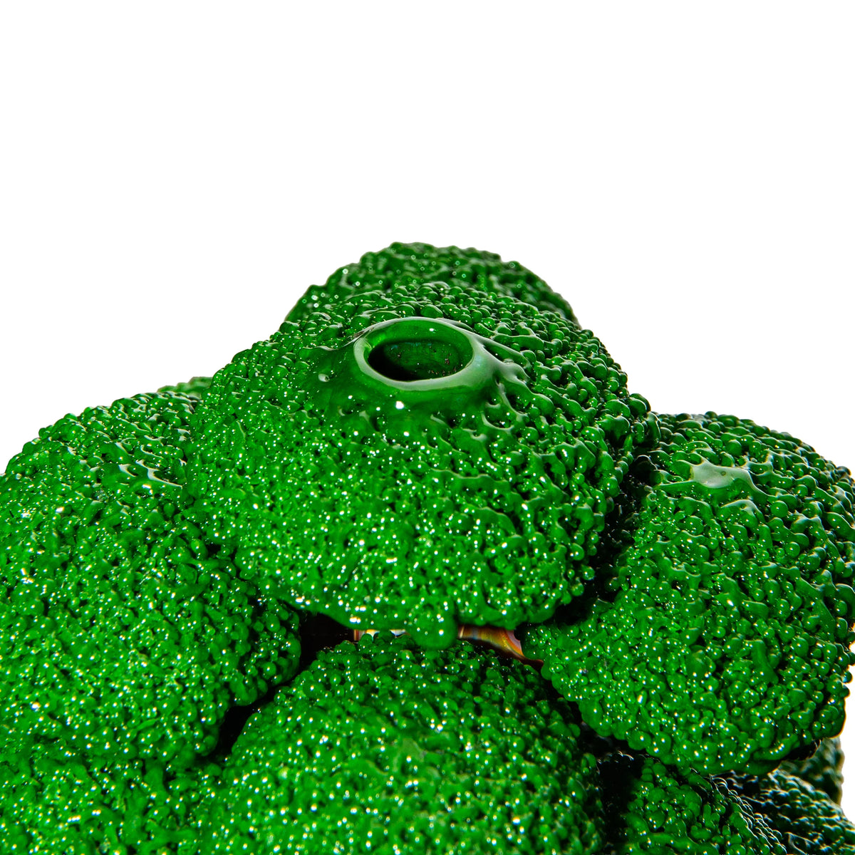 Bubbles The Butcher - Bonsai Tree #51