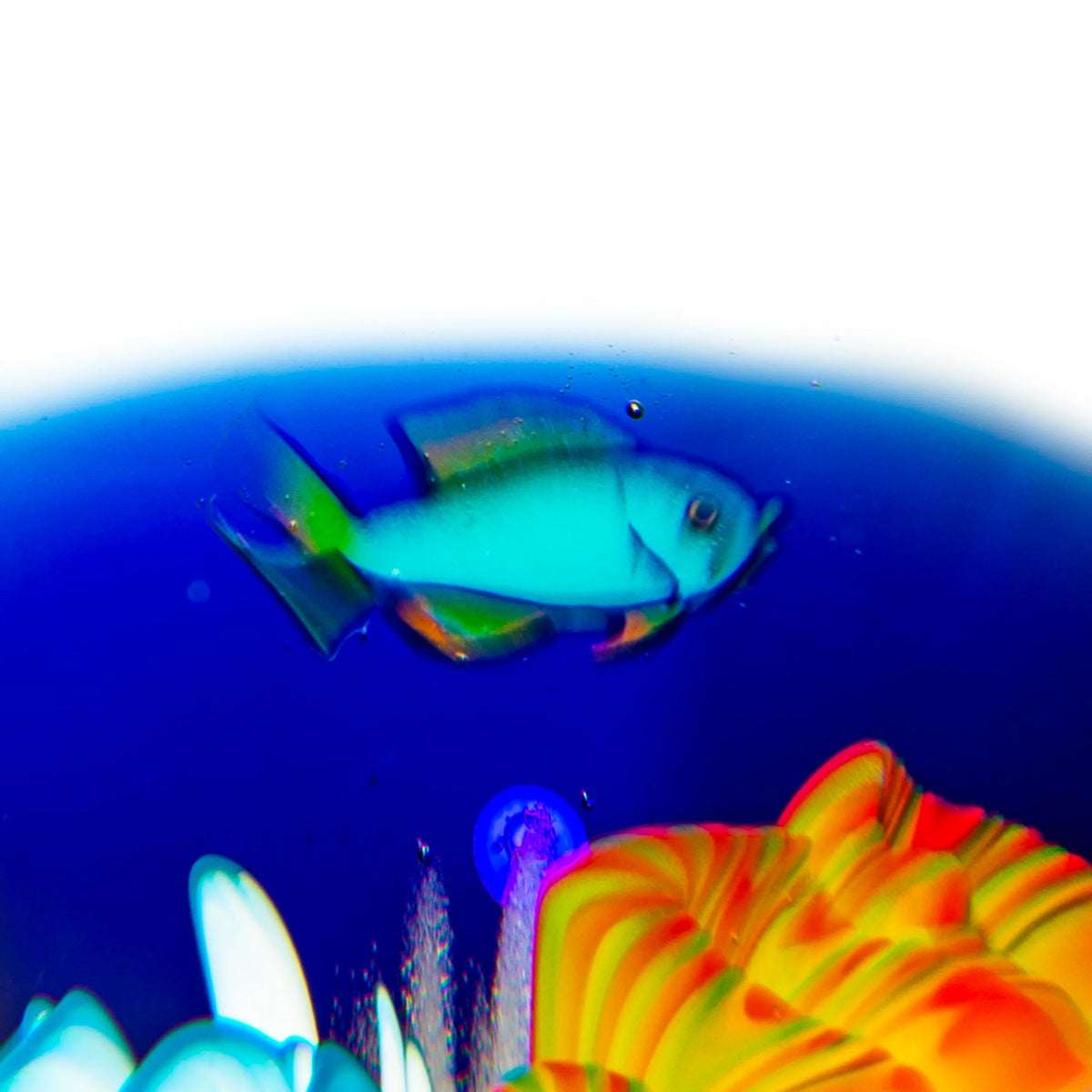 Kimmo Glass - Reef 60mm Marble