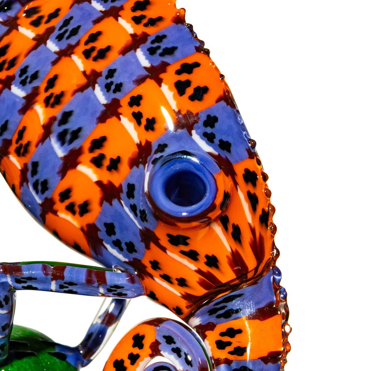 Crunklestein - Purple & Orange Skull Chameleon
