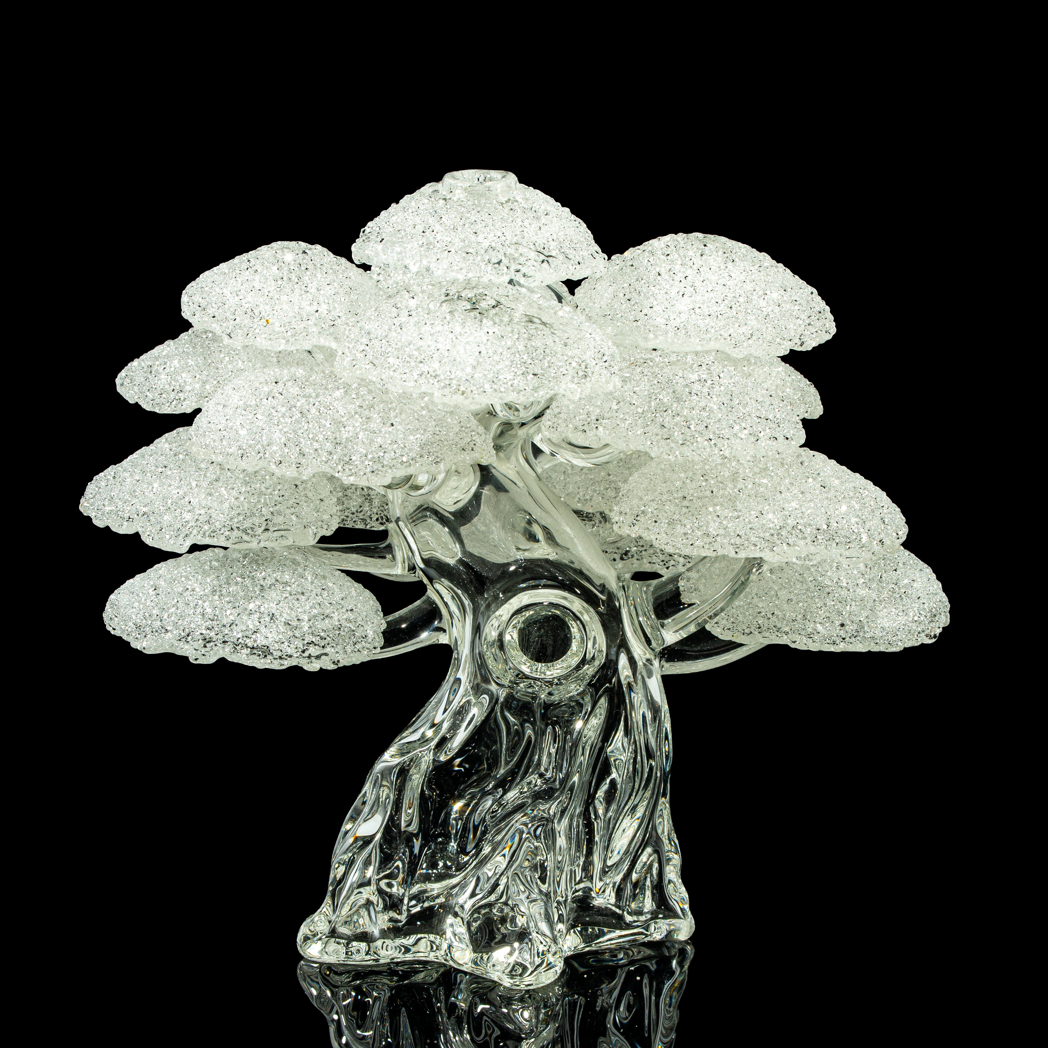 Bubbles The Butcher - Bonsai Tree #40