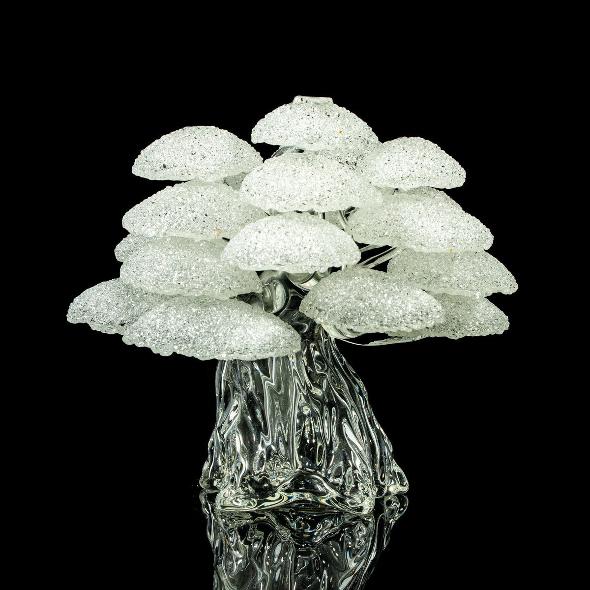 Intricate clear glass art sculpture with textured mushroom cap details on black background