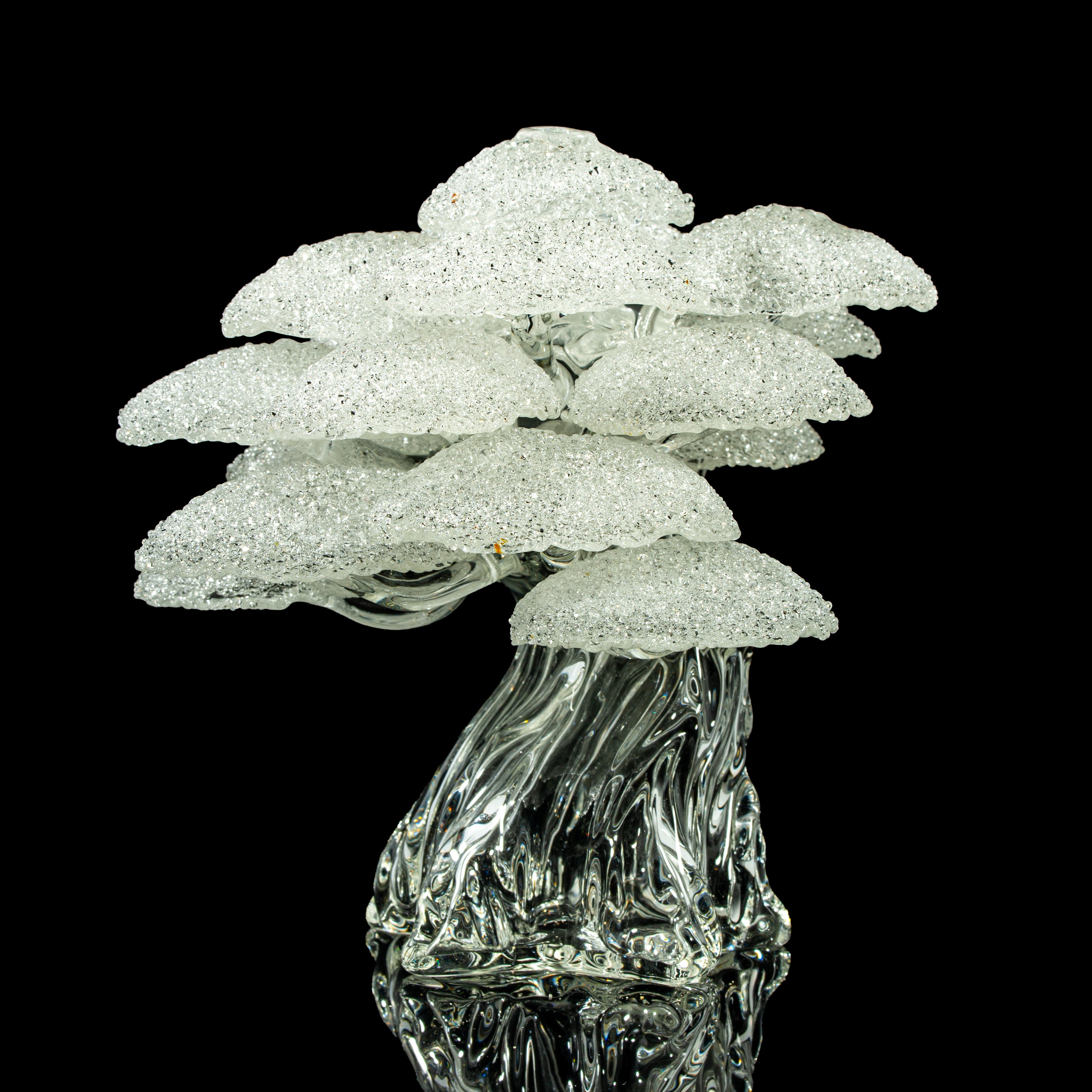 Bubbles The Butcher - Bonsai Tree #40