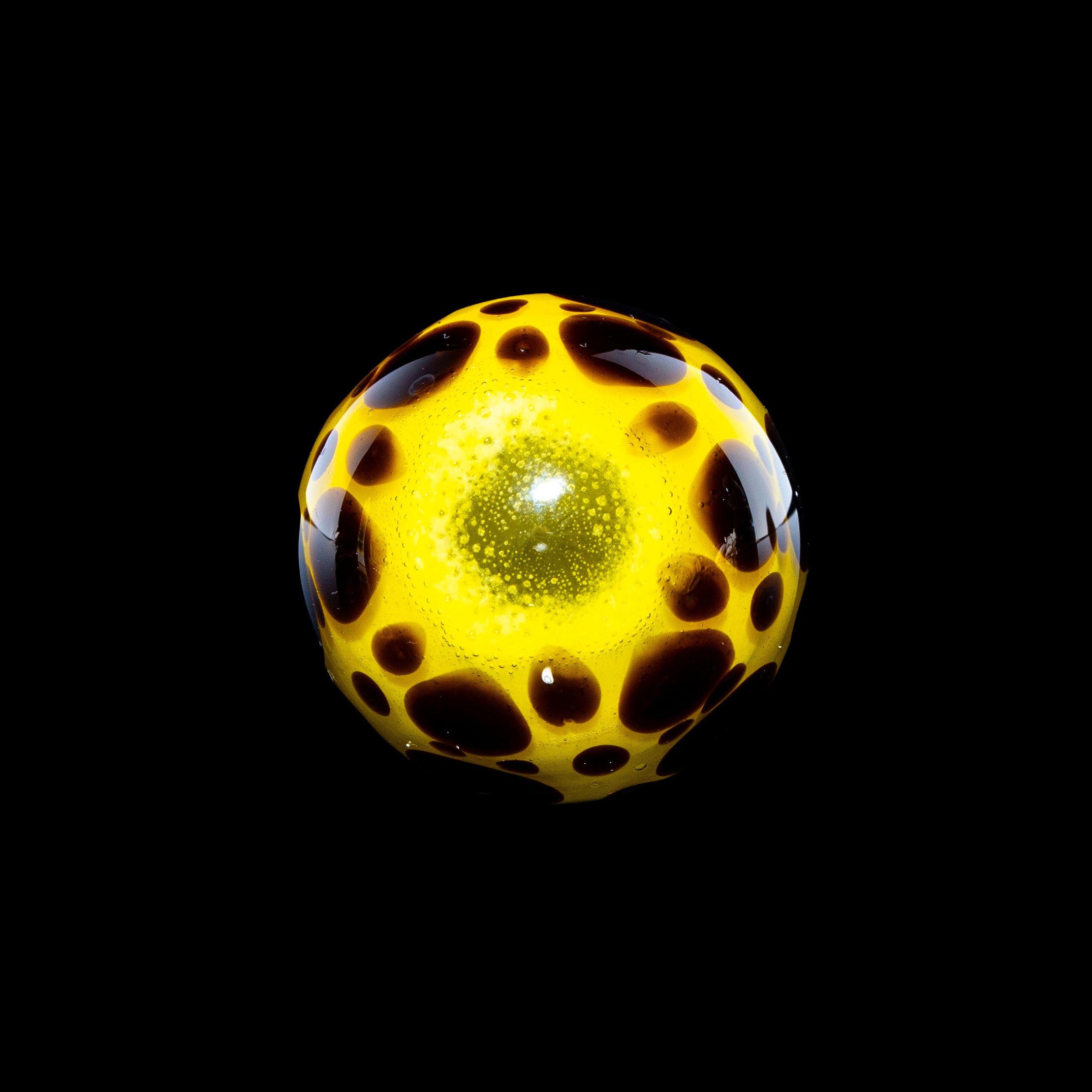 Yellow glass marble with black spots, intricate hand-blown art accessory on black background.