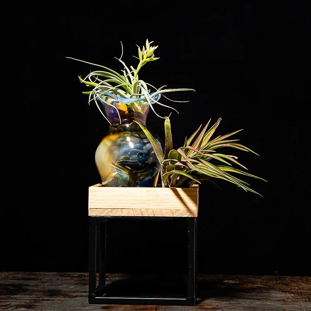 Figure hand-blown glass vase by Glass By Ariel
