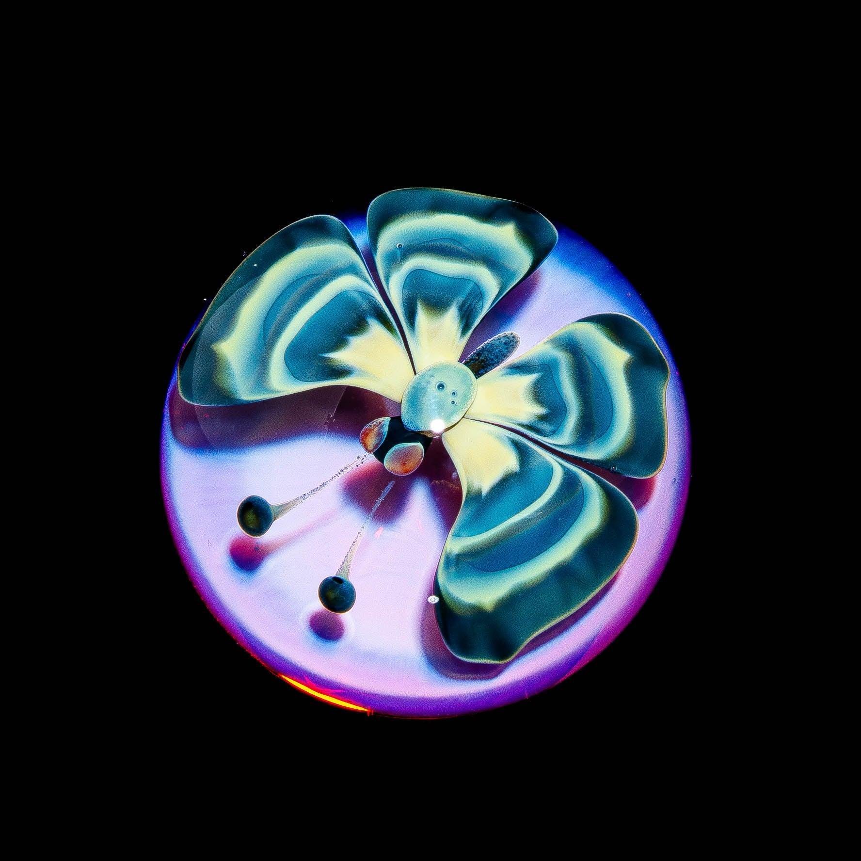 Glass pendant featuring an amber and blue butterfly design on a round base