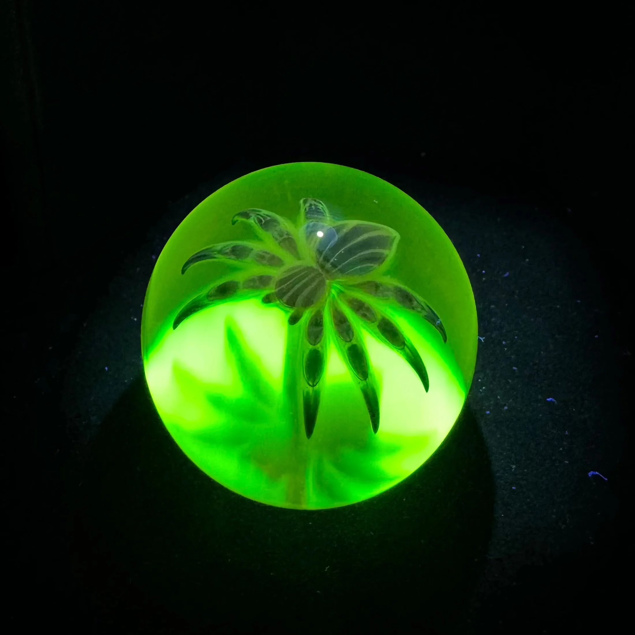 Florin Glass - UV Blue Spider 37MM Marble