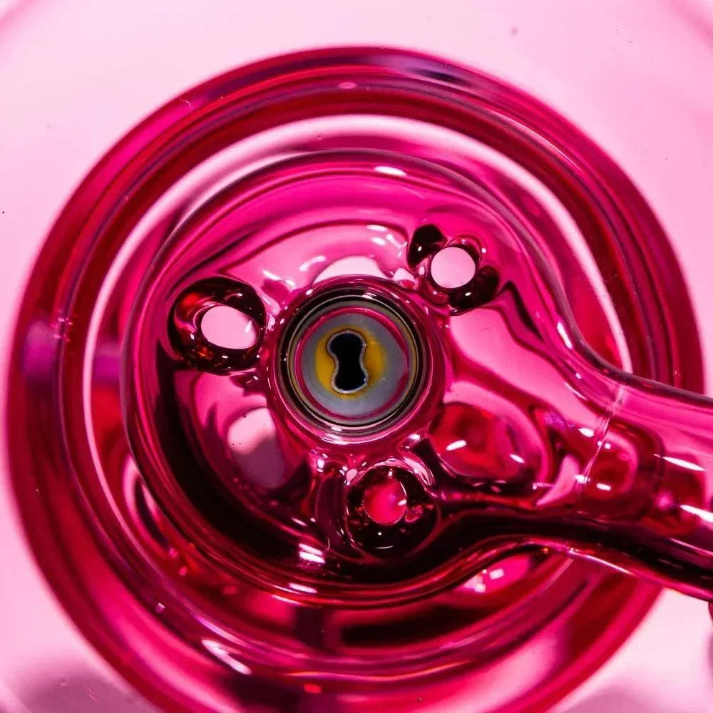 Liz Wright - Gold Ruby & Lotus White Aquarium Blooper #1