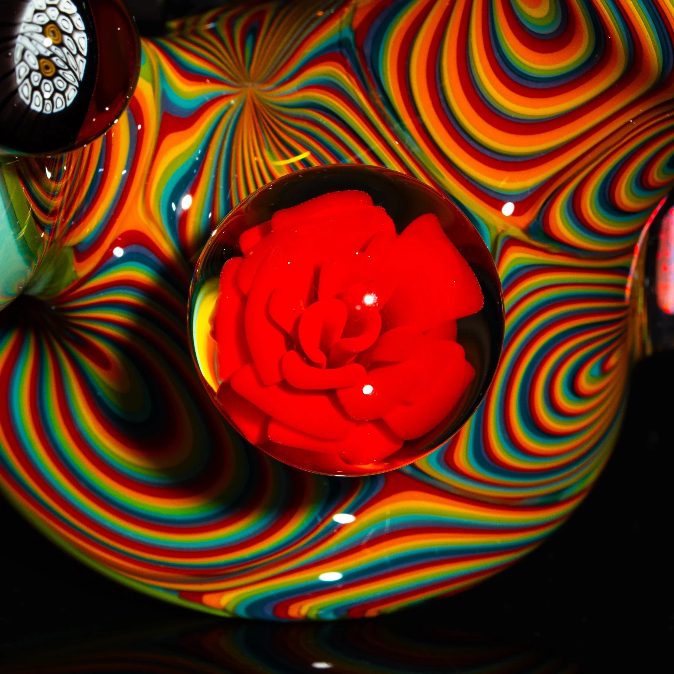 MNP Glass - Must've Been The Roses Classic Squatlock