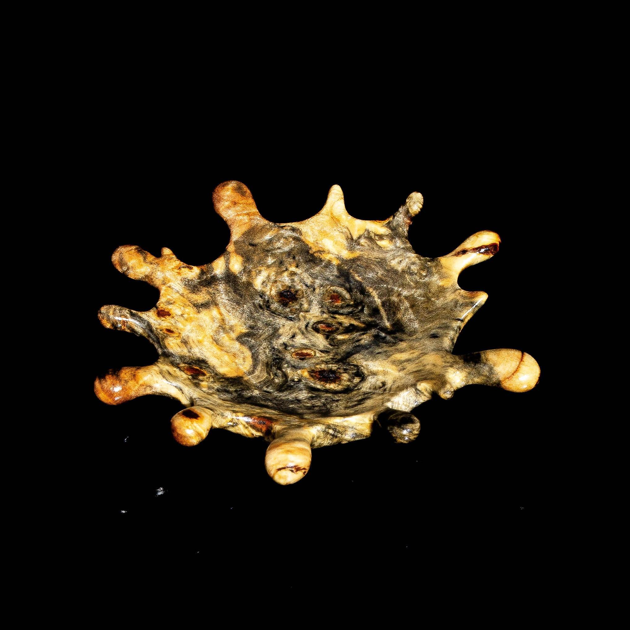 Handcrafted wood splat holder with organic shape and natural grain, displayed on black background
