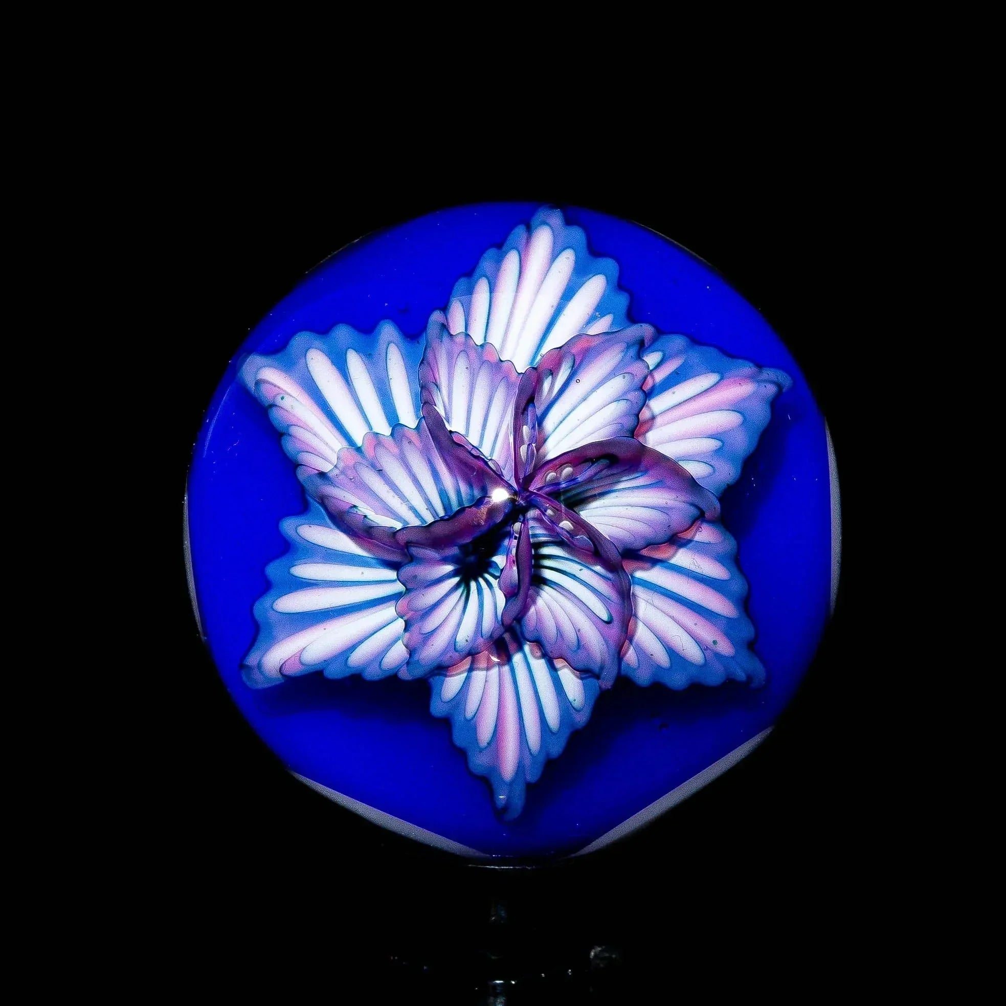 Close-up of intricate glass marble with purple and white floral design on a blue background