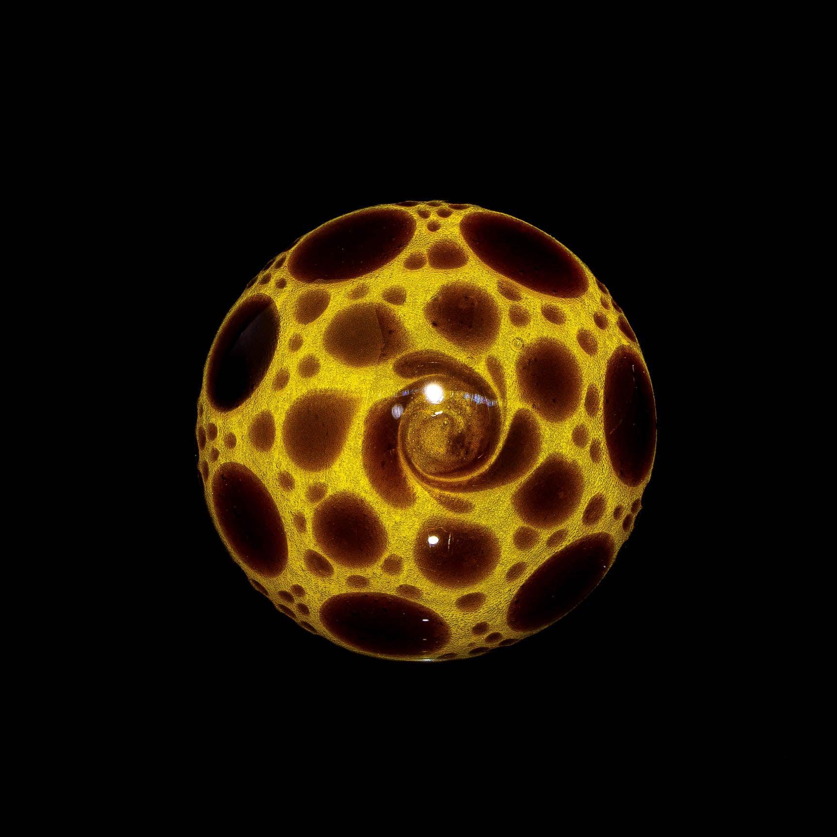 Yellow sable hobnail glass marble with swirl pattern on black background