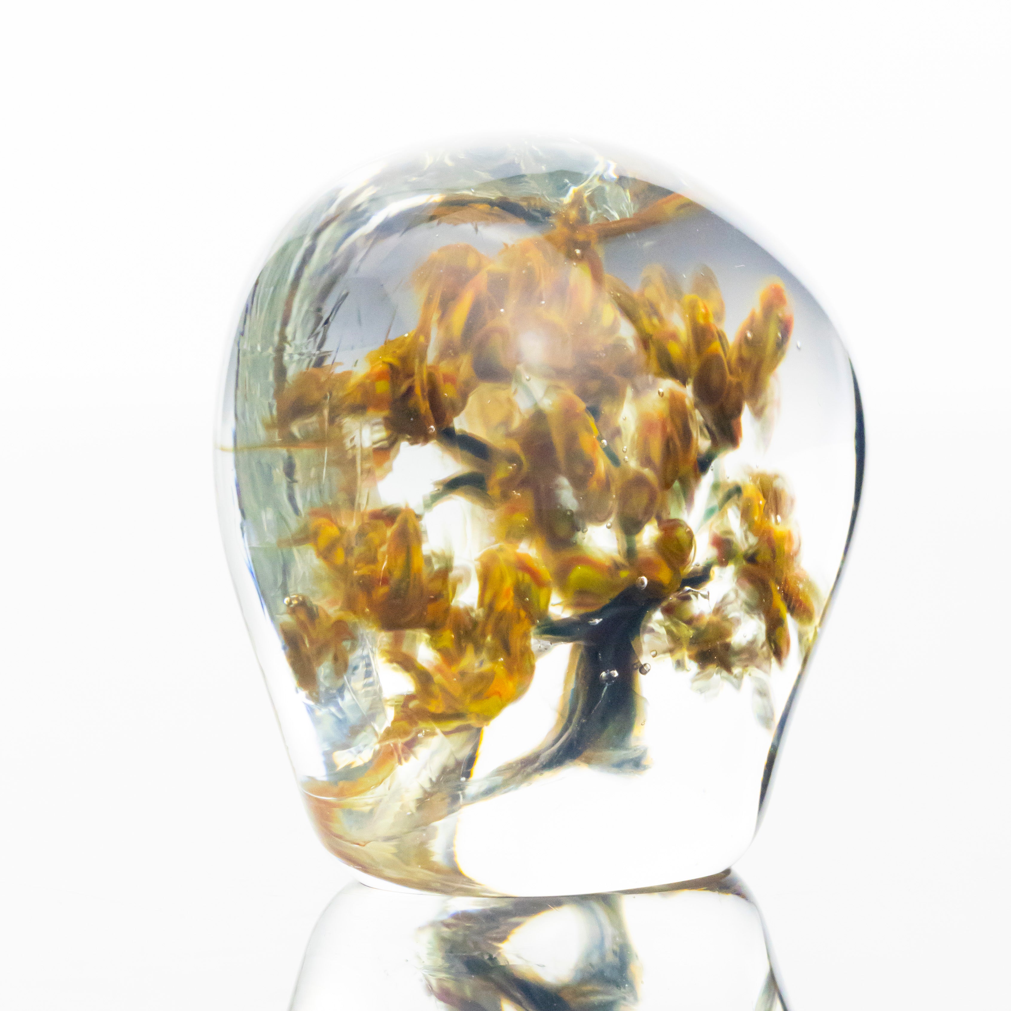 Woodlander Glass - Fall Maple Tree Paperweight