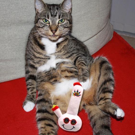 Tabby cat lounging with plush novelty pipe toy featuring smiley face and leaf design