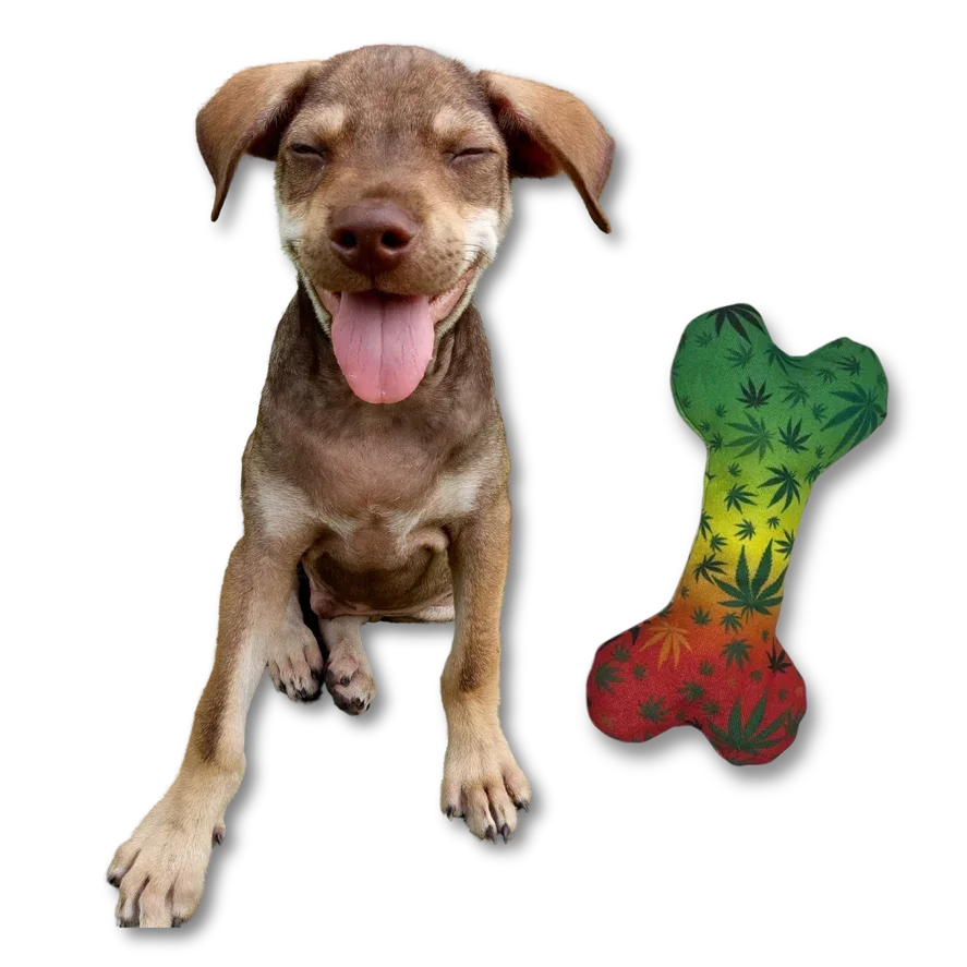 Happy brown puppy with tongue out next to rasta-colored dog bone with leaf pattern