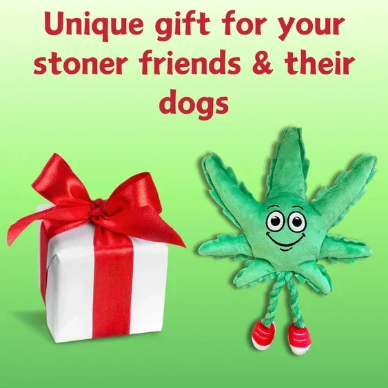Gift box with red ribbon and smiling plush cannabis leaf dog toy on green background