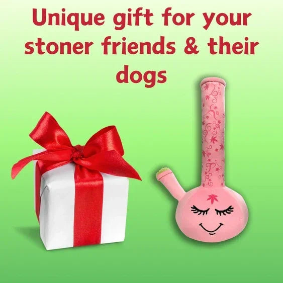 Pink plush bong dog toy next to a wrapped gift on green background, novelty pet accessory