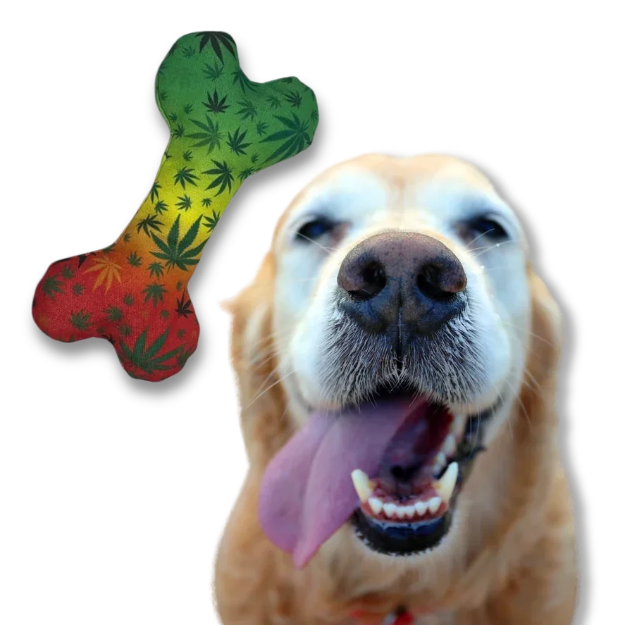 Happy dog with tongue out next to colorful dog bone toy decorated with leaf pattern