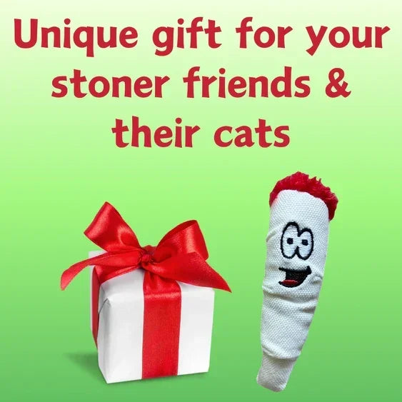 Funny plush joint toy with cartoon face beside a gift box, green background, novelty cat toy
