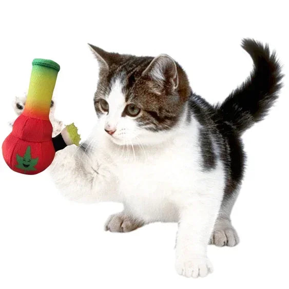 Cat playing with colorful plush bong cat toy featuring a green leaf design