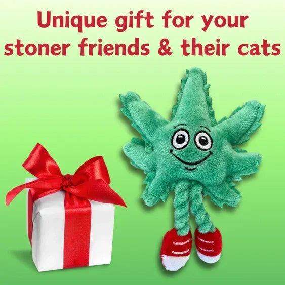 Plush cannabis leaf cat toy with smiling face and red shoes beside wrapped gift box.
