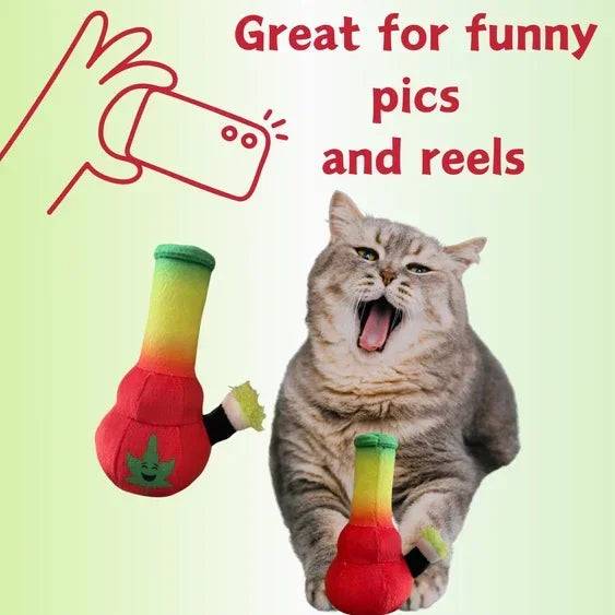 Gray cat playing with colorful plush bong toy, text reads great for funny pics and reels.
