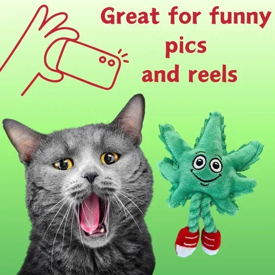 Grey cat with open mouth next to plush cat toy shaped like a green leaf, green background, text reads 'Great for funny pics and reels'.